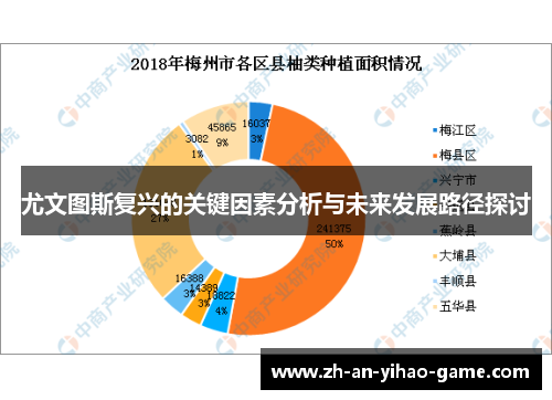 尤文图斯复兴的关键因素分析与未来发展路径探讨