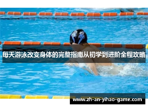 每天游泳改变身体的完整指南从初学到进阶全程攻略