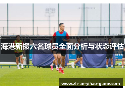 海港新援六名球员全面分析与状态评估
