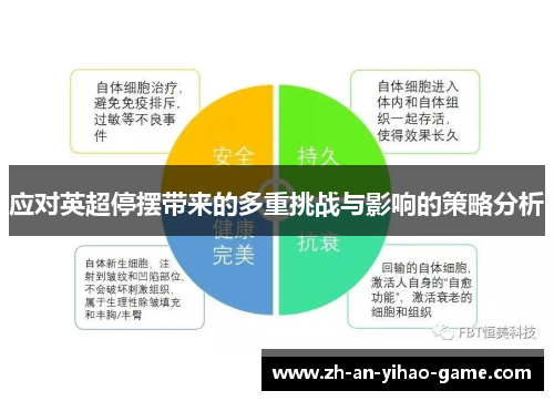 应对英超停摆带来的多重挑战与影响的策略分析