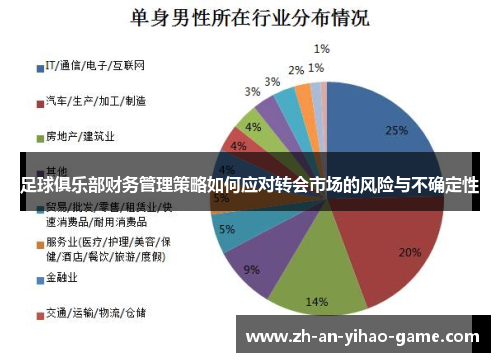足球俱乐部财务管理策略如何应对转会市场的风险与不确定性 足球俱乐部财务管理策略如何应对转会市场的风险与不确定性